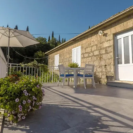 Tanta Apartment *
